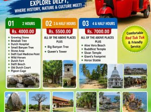 Delft Sanjee Tuk Tuk Tours – Delft