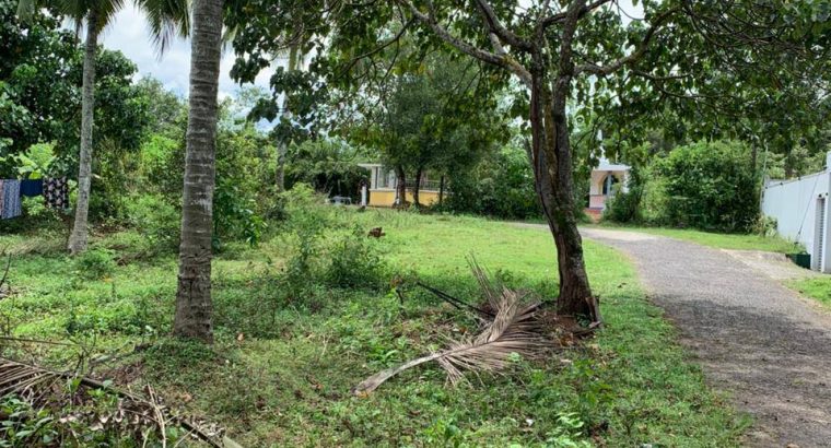 Valuable Land for Sale in Wataraka, Homagama