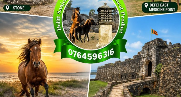 Discover the Wonders of Delft & North Sri Lanka
