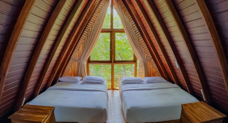 Escape to Paradise in Habarana