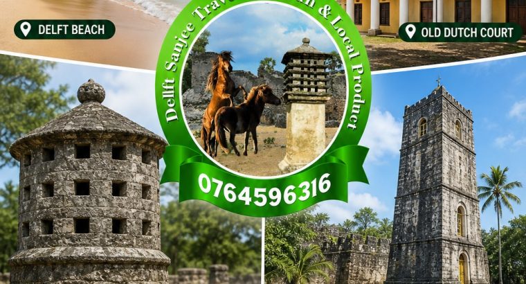 Discover the Wonders of Delft & North Sri Lanka