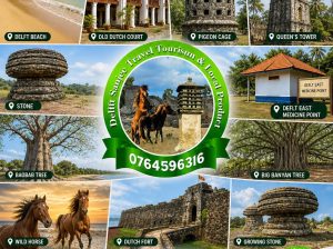 Discover the Wonders of Delft & North Sri Lanka
