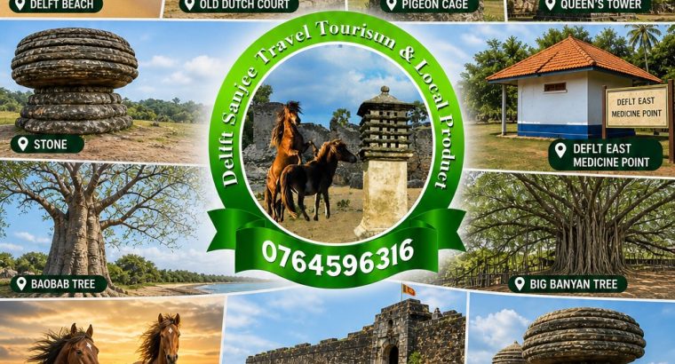 Discover the Wonders of Delft & North Sri Lanka