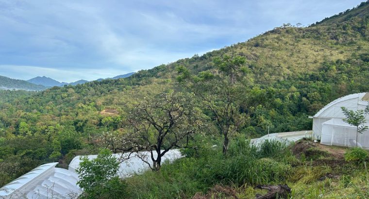 Your Perfect Nature Getaway in Belihuloya