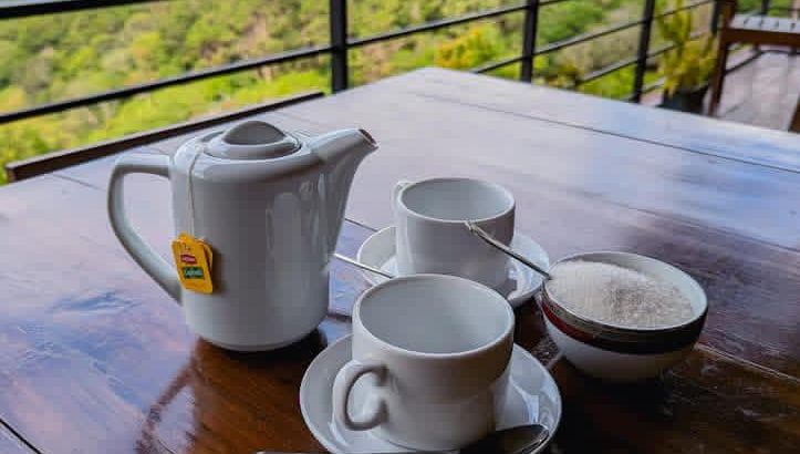 Escape to the Misty Beauty of Ohiya – Stay at Icy Falls Bungalow