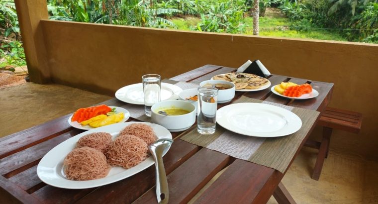 Sunshine Forest Lodge – Sinharaja