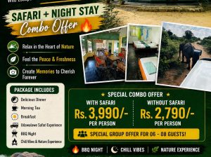 Wild Escape to Udawalawe