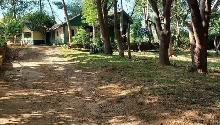 Wild Escape to Udawalawe