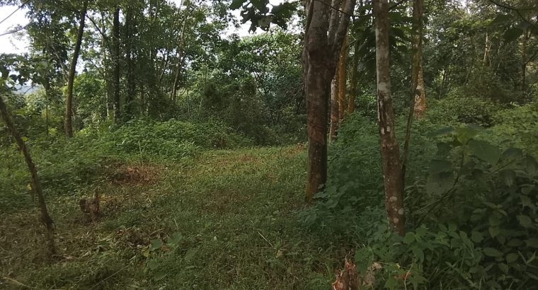 15-Acre Agricultural Land for Sale in Awissawella