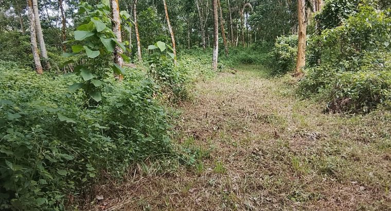 15-Acre Agricultural Land for Sale in Awissawella